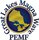 Great Lakes Magna Wave PEMF